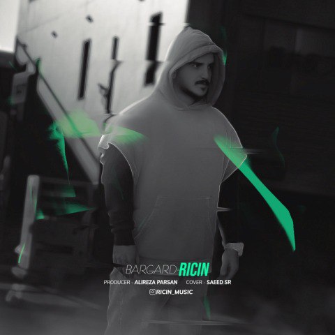 دانلود آهنگ رایسین به نام برگرد